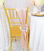 Satin Chair Sash Sample