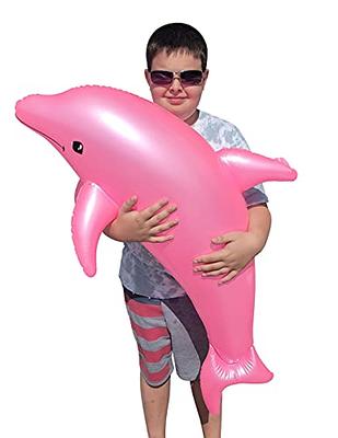 Inflatable Dolphin