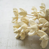 Kalalou Bleached Bullet Flowers on Stems, Bundle of 24