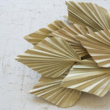 Kalalou Mini Natural Palm Spears, Bundle of 12