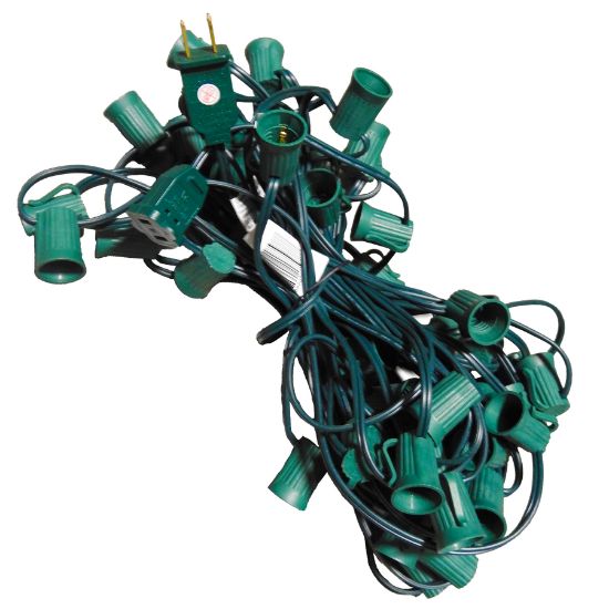 C9 Socket Cord - 50' 12" Spacing