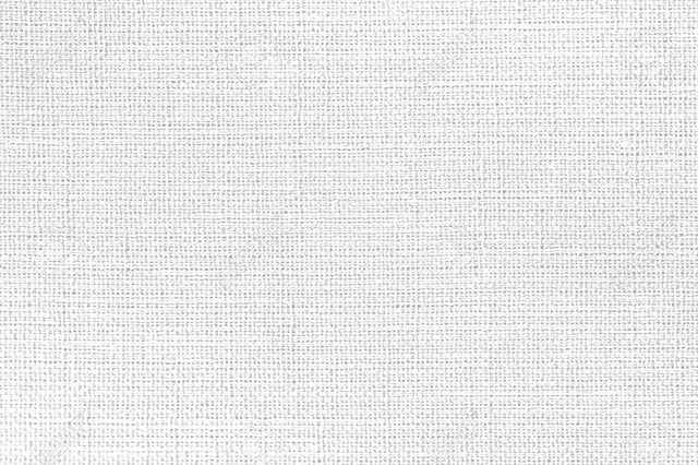 White Linen Ramie Fabric - Drapery Upholstery, 54" Width (1 Yard)