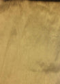 Tan Shantung Faux Silk Polyester Fabric - Tan Solid, 57" Width (1 Yard)