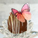 Crystal Candy 'Be Beautiful' Edible Butterflies - Pack of 19