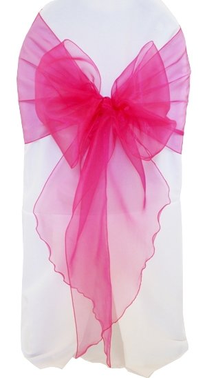 Organza Chair Sash Sample