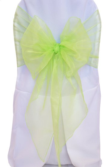 Organza Chair Sash Sample