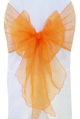 Organza Chair Sash Sample