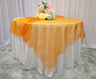 Seamless Square Organza Soft Table Overlay Sheer