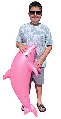 Inflatable Dolphin