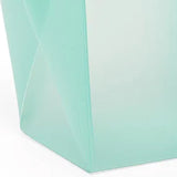Sleek Frosted Plastic Organizer