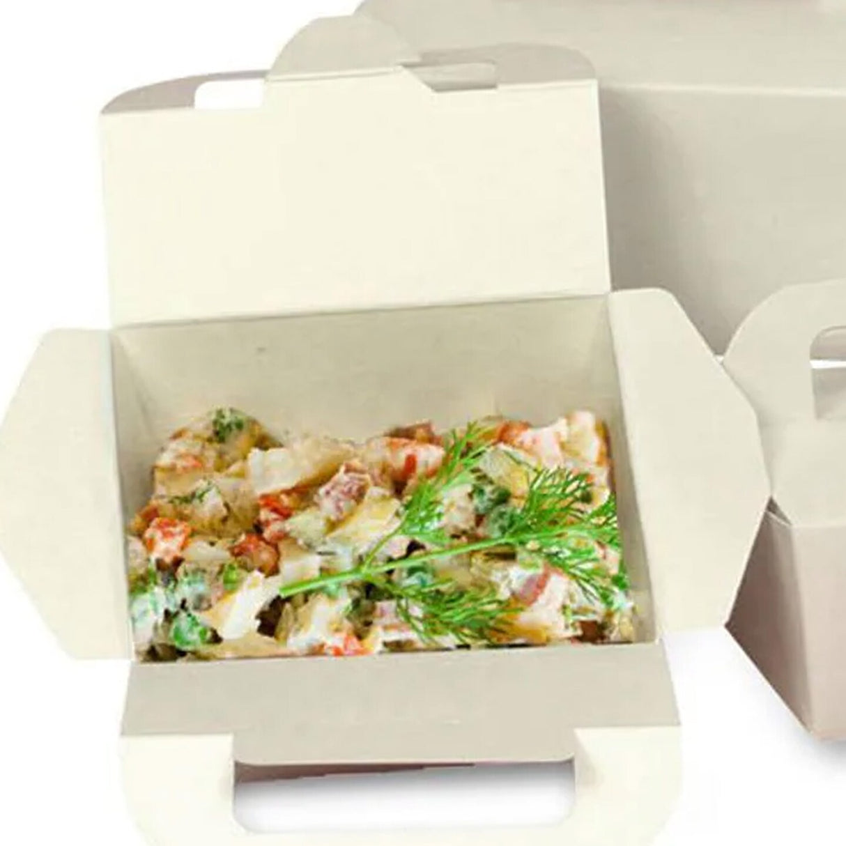 Sustainable Take Out Box with Handles 6" x 4.25" x 2.5"