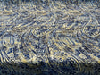 Waverly Fossil Finds Linen Cotton Fabric - Paisley Lapis Blue, 54" Width (1 Yard)