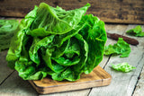 Lettuce: Butter