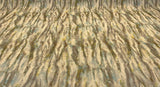 Waverly Blink Of An Eye 100 Percent Cotton Fabric - Glacier Beige, 54" Width, 13.50" Horizontal/Vertical Repeat (1 Yard)