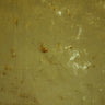 1 Yard Crushed Velvet Upholstery & Drapery Fabric
