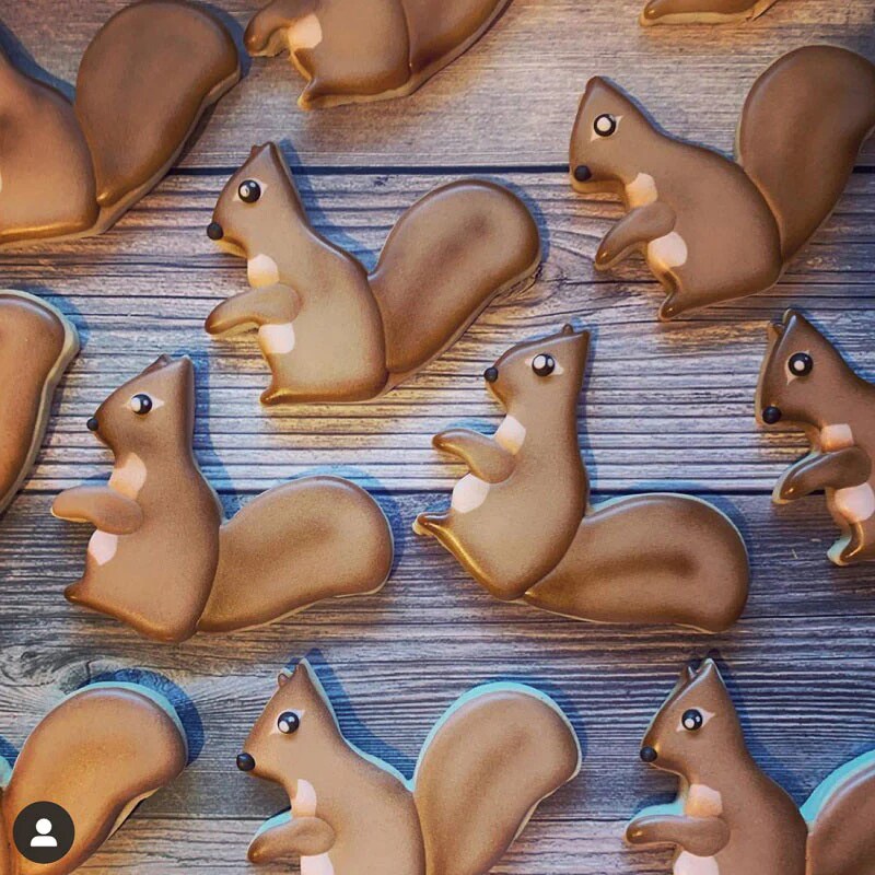 Ann Clark Squirrel Cookie Cutter