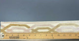 Fabricut Velvet Embroidery Trim Tape - Beige, Gold Off White / Ivory, 3.5" Width (1 Yard)