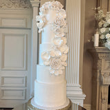 Angela Morrison Point De France Cake Embosser