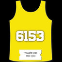 International Coatings Cool Sport Inks