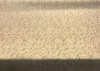 Waverly Cursive Caps Silver Linen Fabric - Silver Cursive Print, 54" Width (1 Yard)