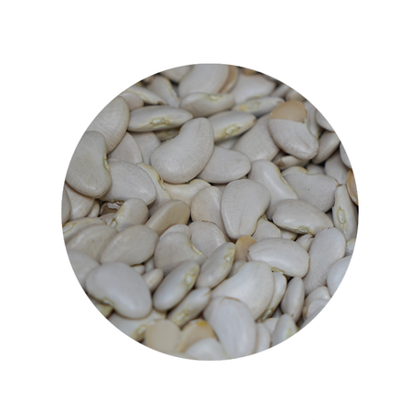 Large Lima Beans - Bulk Bin 1632 (25 pounds)