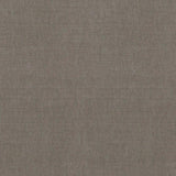 Stormfront Canvas Cotton Fabric - Reed Gray Tan, 54" Width (1 Yard)
