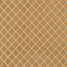 Saxon Stylish Upholstery Fabric