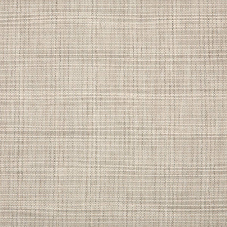 Sunbrella Echo Ash Acrylic Fabric - Textured Solid, Ash, 54" Width (1 Yard)
