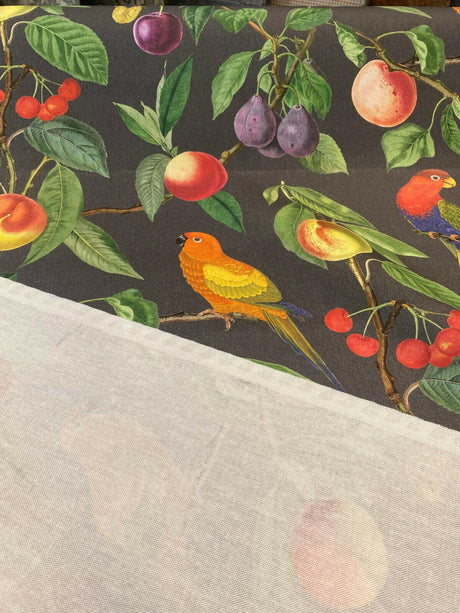 Parrots Macaw Bird Fruits Noir Cotton Fabric - Green Leaves, Blue Red And Orange Birds, 54" Width, 25" Horizontal Repeat, 24" Vertical Repeat (1 Yard)