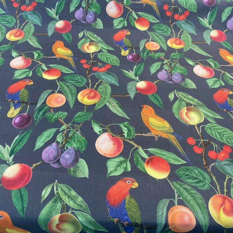 Parrots Macaw Bird Fruits Noir Cotton Fabric - Green Leaves, Blue Red And Orange Birds, 54" Width, 25" Horizontal Repeat, 24" Vertical Repeat (1 Yard)