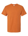 Hanes® Garment Dyed T-Shirt