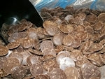 Guittard Dark Chocolate Flavored A'Peels Wafers - 25 Pound Box
