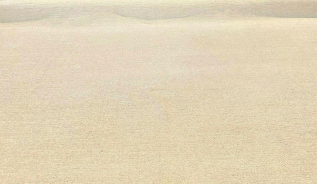 Yeti Ecru White Italian Premium Soft Chenille Upholstery Fabric - Ecru White, 56" Width (1 Yard)