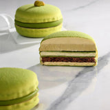 Pavoni Macaron Silicone Mold, 8 Cavities