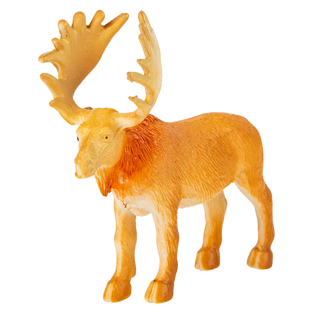 Animal Set 6 PC (1 PC)
