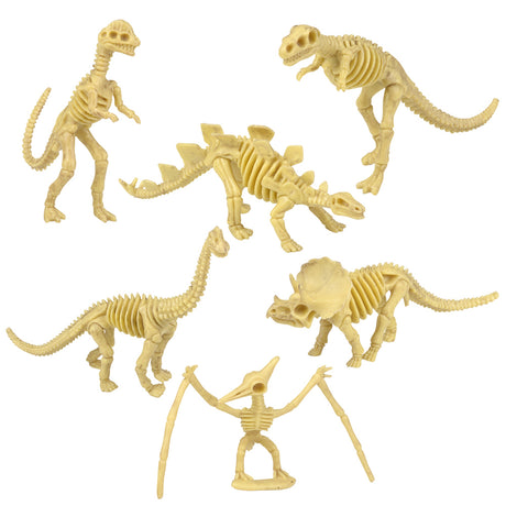Dinosaur Fossil Assortment (1 PC)