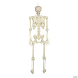 5 Ft. Hanging Multi Pose-N-Stay Life-Size Skeleton Halloween Decoration