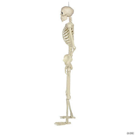 Hanging Pose-N-Stay Life-Size Skeleton Halloween Yard Decoration, hangs on a porch or door for spooky Halloween display
