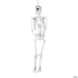 5 Ft. Life-Size Cyclops Skeleton Halloween Decoration