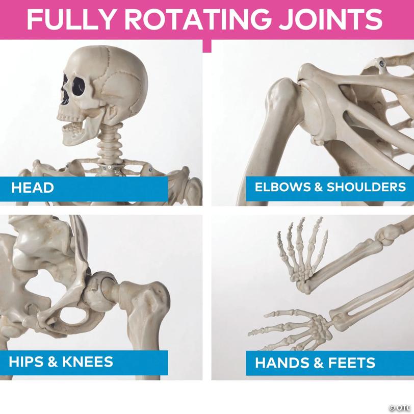 5 Ft. Life-Size Posable Plastic Skeleton Halloween Decoration