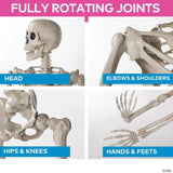 5 Ft. Life-Size Posable Plastic Skeleton Halloween Decoration