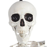 5 Ft. Skeleton Pose & Hold Plastic Halloween Decoration