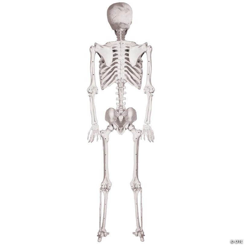 5 Ft. Skeleton Pose & Hold Plastic Halloween Decoration