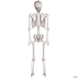 5 Ft. Skeleton Pose & Hold Plastic Halloween Decoration