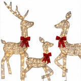 3-Piece Lighted Reindeer Family Outdoor Christmas Set