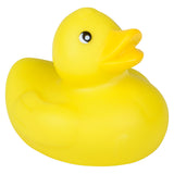 Rubber Duckies (1 DZ)