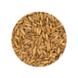 Whole Oat Groats 1 Pound