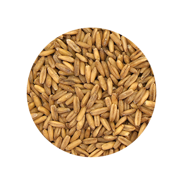 Whole Oat Groats 1 Pound