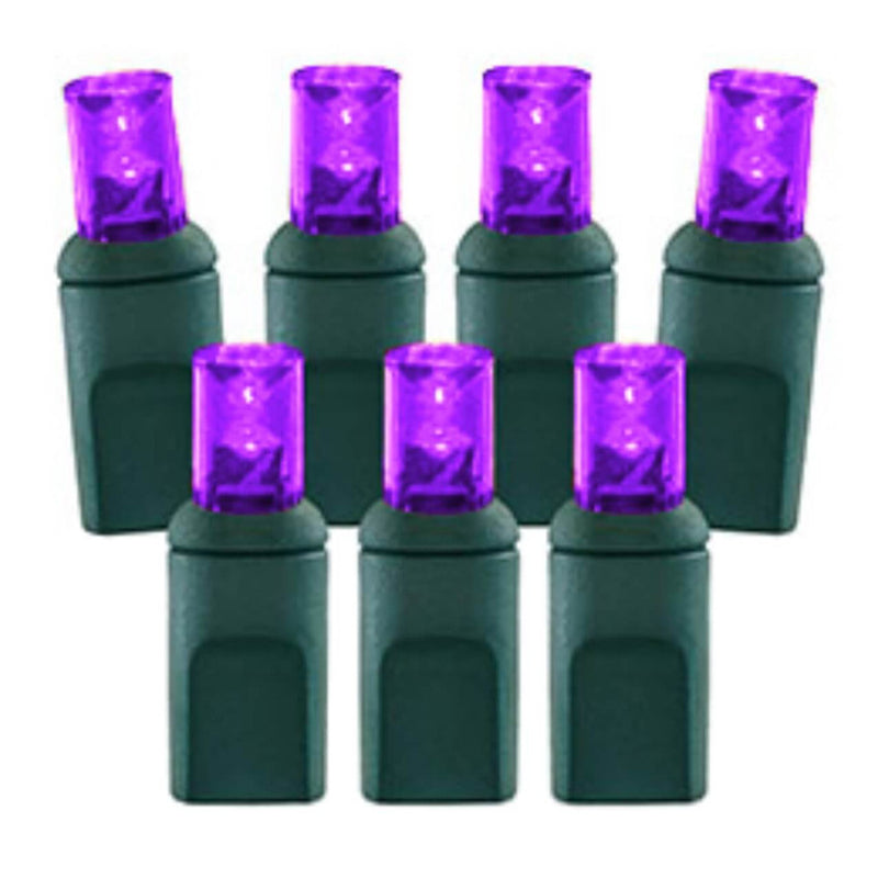 5mm Purple LED Lights – 70L 4" Spacing String Light