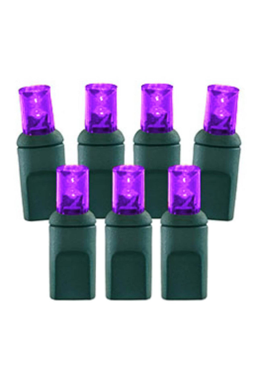 5mm Purple LED Lights – 70L 4" Spacing String Light